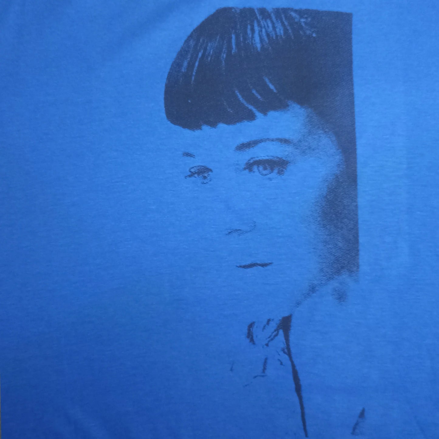 Kristin Hersh "Sunny Border Blue" Screen Printed T-Shirt | ElRat Designs