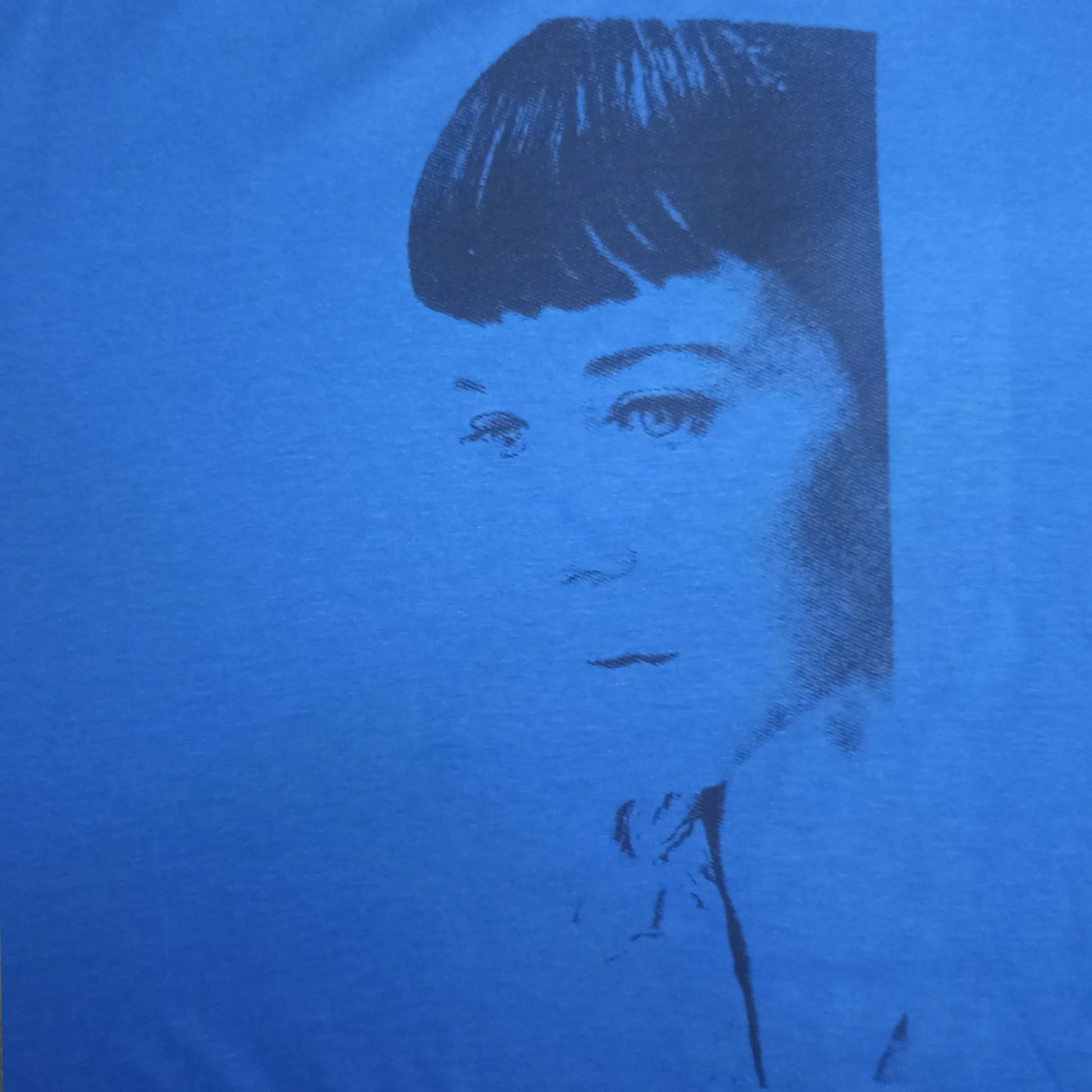 Kristin Hersh "Sunny Border Blue" Screen Printed T-Shirt | ElRat Designs