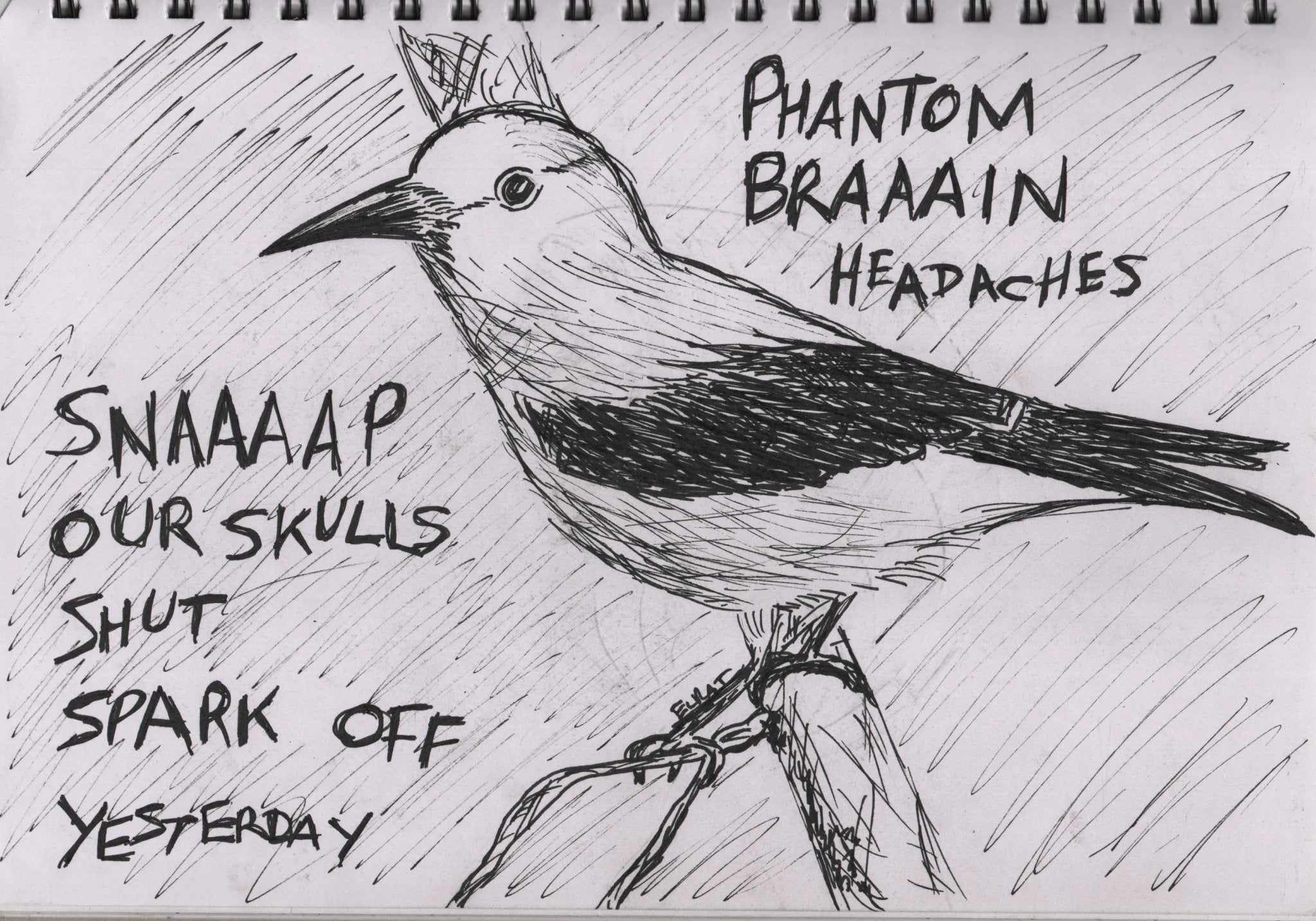 Clark's Nutcracker by ElRat