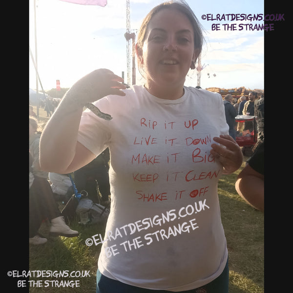 ElRat in the Wild, Throwing Muses, Hook in her Head, White/Scarlet T-shirt at the Throwing Muses show, Bearded Theory festival UK on the 25th May 2025 - hero - elratdesigns.co.uk