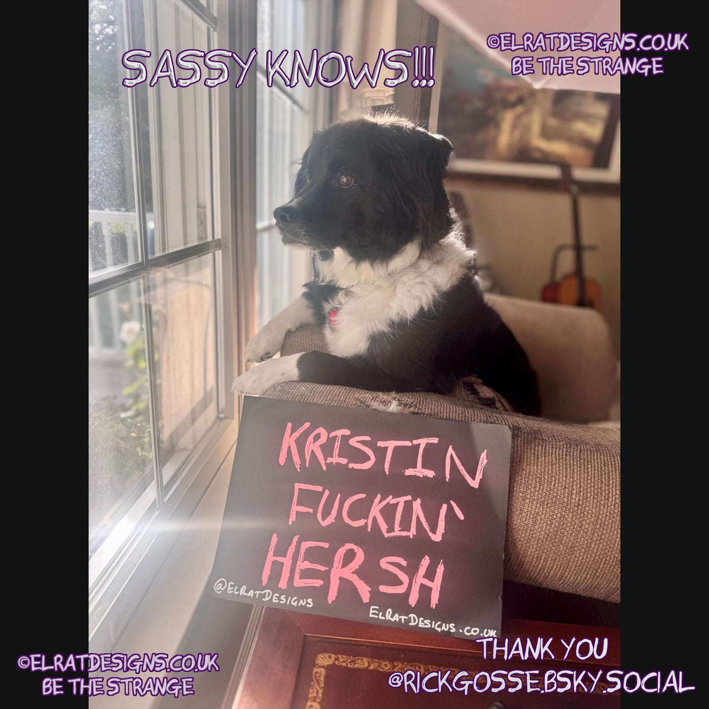 ElRat in the Wild - Sassy knows how it is - Kristin Hersh, Kristin Fuckin' Hersh graffiti style T-Shirt from ElRat Designs. hand pulled screen print with eco friendly water based ink. only from elratdesigns.co.uk - hero