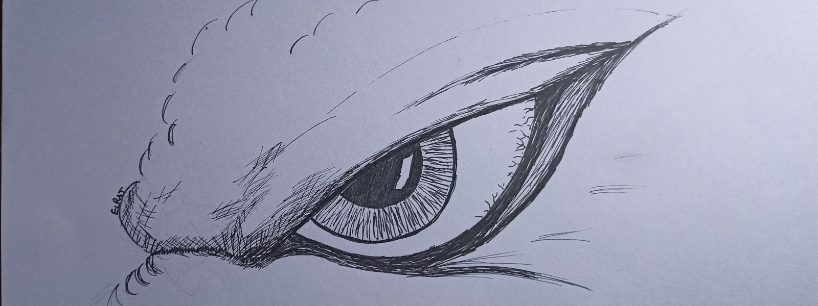 Hand drawn Kaiju eye by ElRat of ElRat Designs