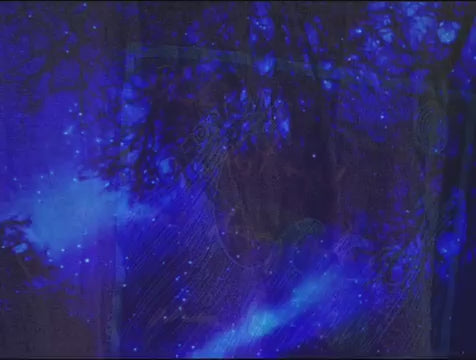 ElRat promo video - ElRat 50 foot wave 'Tsunami' T-Shirt - a new take on an old classic. show some love for the noisy end of the Hershverse. ElRat Designs - elratdesigns.co.uk