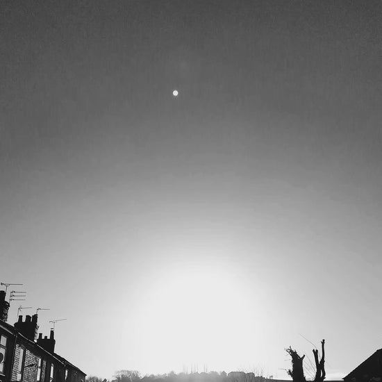 ElRat Promo Video - Kristin Hersh, Silver Sun, ElRat hand drawn Spiral sun printed in Silver, Back Print "How much for a life you don't despise?". hand pulled screen print with eco friendly water based ink. only from elratdesigns.co.uk - hero