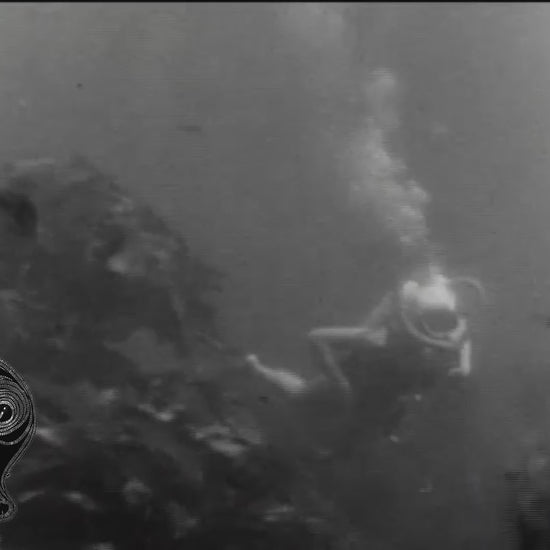 Hand drawn spiral alien/sea monster or something, I don't really know what he is, he appeared unplanned on the page

🎶 @50footwave "black pearl"
🎥 @elratdesigns

Clips in the public domain, taken from

REVENGE OF THE CREATURE trailer
MONSTER FROM THE OCEAN FLOOR trailer

hero