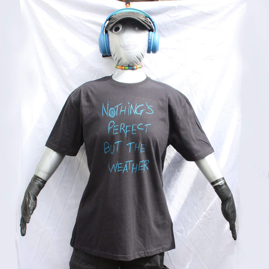 Throwing Muses "Terra Nova" screen printed t-shirt from ElRat Designs. "Nothing's perfect but the weather"